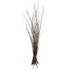 Vickerman 34-40" Moneta Branches, Dried 8oz - view 1 of 4