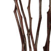 Vickerman 34-40" Moneta Branches, Dried 8oz - view 3 of 4