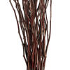 Vickerman 34-40" Moneta Branches, Dried 8oz - view 2 of 4
