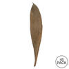 Vickerman Palm Paddles, Dried - view 2 of 4