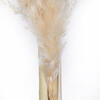 Vickerman 46" Dried Pampas Grass - view 4 of 8