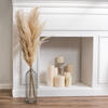 Vickerman 46" Dried Pampas Grass - view 2 of 8