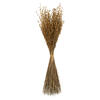 Vickerman 30" Princess Grass Bundle, Dried - view 1 of 5