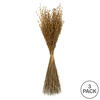 Vickerman 30" Princess Grass Bundle, Dried - view 5 of 5