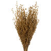 Vickerman 30" Princess Grass Bundle, Dried - view 2 of 5