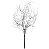 18-20" Natural Brown Skeleton Branch 3Pk - view 1 of 5
