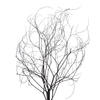 18-20" Natural Brown Skeleton Branch 3Pk - view 2 of 5