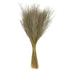 14-20" Natural Snowdrop Grass 9oz - view 1 of 5