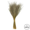 14-20" Natural Snowdrop Grass 9oz - view 5 of 5