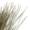14-20" Natural Snowdrop Grass 9oz - view 3 of 5