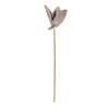 Vickerman 16" Sora Pod attached to a Wood Stem, Dried 5 Pack - view 1 of 7