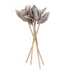 Vickerman 16" Sora Pod attached to a Wood Stem, Dried 5 Pack - view 7 of 7