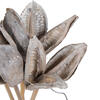 Vickerman 16" Sora Pod attached to a Wood Stem, Dried 5 Pack - view 2 of 7