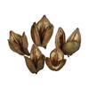 Vickerman 3"-4" Sora Pods, Dried Bulk Case - view 1 of 2