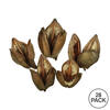 Vickerman 3"-4" Sora Pods, Dried Bulk Case - view 2 of 2