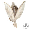 Vickerman 3"-4" Sora Pods, Dried - view 6 of 6