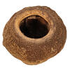 Vickerman 4" Sapa Pod, 3 Pack Dried - view 2 of 3