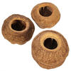 Vickerman 4" Sapa Pod, 3 Pack Dried - view 3 of 3
