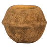 Vickerman 4" Sapa Pod, Dried - view 2 of 4