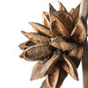 Vickerman 5-6' Star Pod Stalk, Dried - view 3 of 4