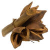 Vickerman 6" Star Pod, Dried - view 3 of 4