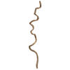 Vickerman 38-45" Twisted Vine, Dried - view 1 of 6
