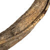 Vickerman 38-45" Twisted Vine, Dried - view 3 of 6
