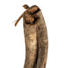 Vickerman 38-45" Twisted Vine, Dried - view 4 of 6