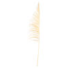 Vickerman 60-72" Uva Palm Spray - view 1 of 2