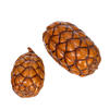 2"-3" Natural Uxi Pod 24/Bag - view 3 of 3