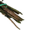 25-36" Green Lepto Longifolia Bundle 6oz - view 4 of 4