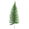 16-18" Green Parchment Fern Stem 10/Pk - view 1 of 5