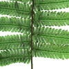 16-18" Green Parchment Fern Stem 10/Pk - view 3 of 5