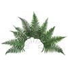 16-18" Green Parchment Fern Stem 10/Pk - view 5 of 5