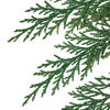 Vickerman 18-24"  Port Orford Green Cedar Branches, Preserved - view 3 of 4