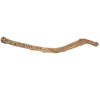 Vickerman Natural Cholla Cactus Segment, Dried - view 1 of 5