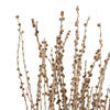 36-38" Natural Deglet Nour Branch Bundle - view 3 of 5