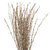 36-38" Natural Deglet Nour Branch Bundle - view 2 of 5