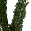 8-10" Green Foxtail Fern 16 Stem Bunch - view 4 of 7