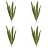 8-10" Green Foxtail Fern 16 Stem Bunch - view 7 of 7