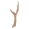 Vickerman Ghostwood Manzanita, Dried - view 1 of 5