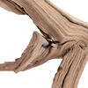 Vickerman Ghostwood Manzanita, Dried - view 3 of 5