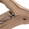 Vickerman Ghostwood Manzanita, Dried - view 4 of 5