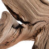 Vickerman Ghostwood Manzanita, Dried - view 2 of 5