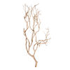 Vickerman Manzanita Tree Branch, Dried - view 1 of 5