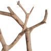 Vickerman Manzanita Tree Branch, Dried - view 3 of 5