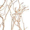 Vickerman Manzanita Tree Branch, Dried - view 4 of 5