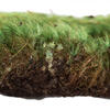 Premium Green Mood Moss - 2.75 lbs/Bx - view 5 of 6