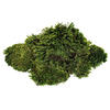 Premium Green Mood Moss - 2.75 lbs/Bx - view 3 of 6