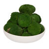 1 Lb. Apple Green Pole Moss - view 1 of 5